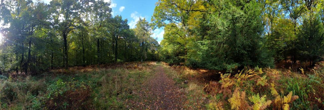 The Beehive - Self Catering In The Heart Of The Forest Of Dean Whitecroft 외부 사진