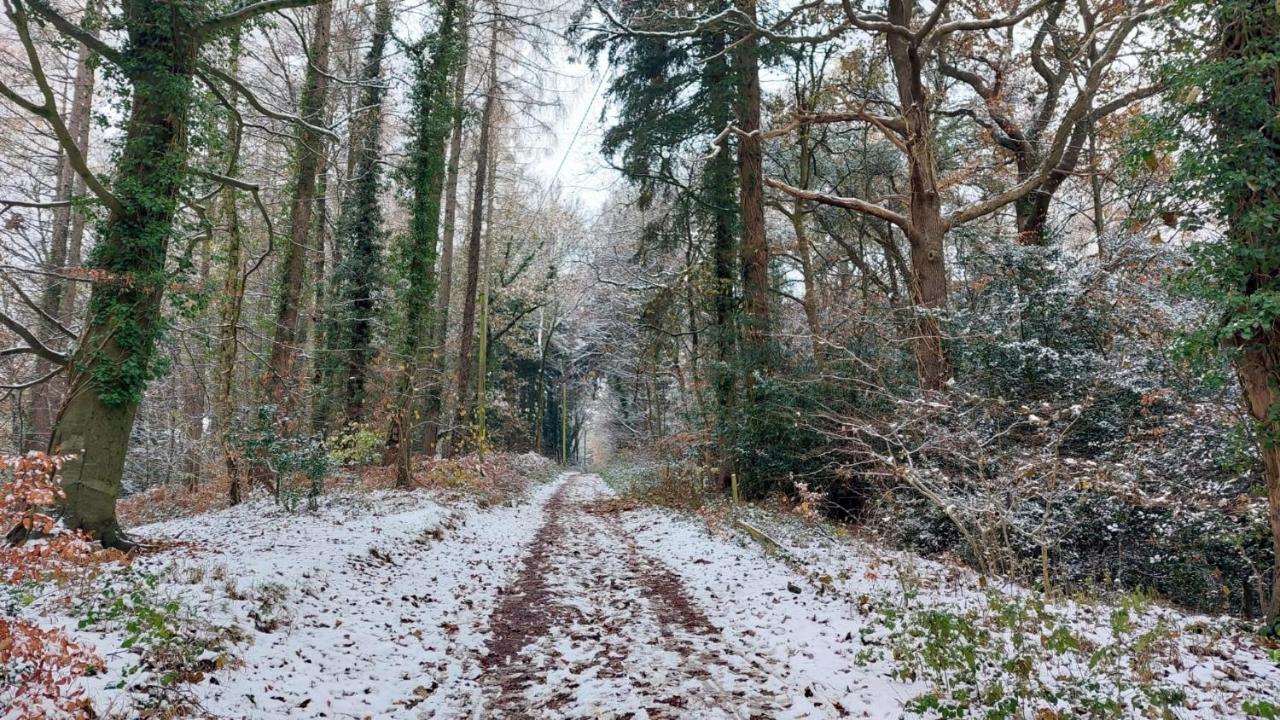 The Beehive - Self Catering In The Heart Of The Forest Of Dean Whitecroft 외부 사진