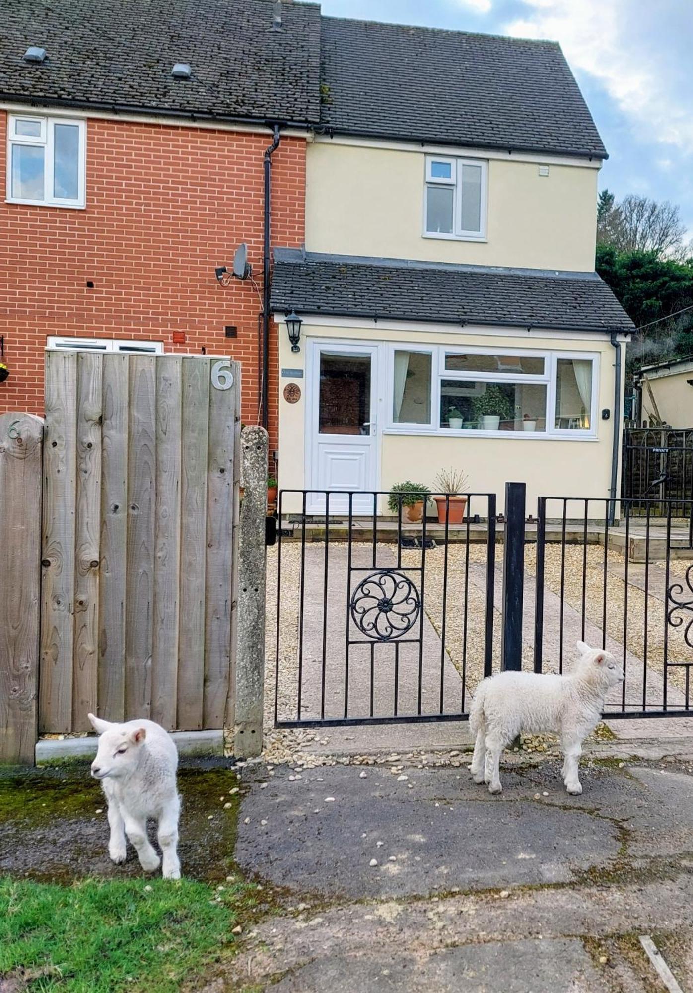 The Beehive - Self Catering In The Heart Of The Forest Of Dean Whitecroft 외부 사진